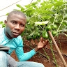 Agronomist Samuel Mwangi