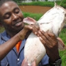 Kambugu Isaac
