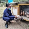 Agnes Nyabwari