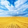Віра Черняк
