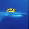 BlueWhaleKing  