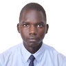 bazil ogik