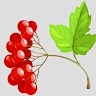Ruslan  