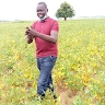 nelson kole