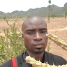 Umar Musa