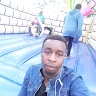 maina willet