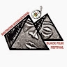 Baltimore International Black Film Festival