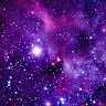 Purple Media