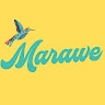 Marawe Official  