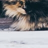 Віталій Ольховський