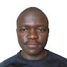 Nyasha T Chitsiga