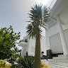 Lat Ndiaye