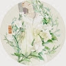 Shiratsuyu4  