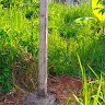 Hiswa Kamu