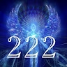 222 Enterprises