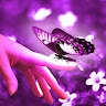 Anie irshad
