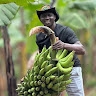 Matovu Eddie