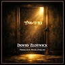 Dovid Zlotnick