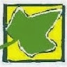 EVEN GREENS
