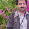Ali Dehghani