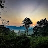 MUNYARUKUNDO Tharcisse