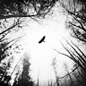 aeolian mode  