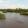 Dickson Mulambia