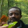 Buhendwa Mushagalusa