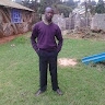 BRIAN STEVE
