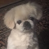Bobby  