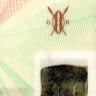 Amos Kipngeno
