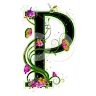 Pesi Shimon