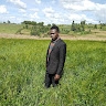 Mutai Shedrach