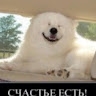 Всеведа  