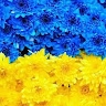 Методичний кабінет Слов'янської міської ради