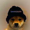 HVC SpëedingSpy  