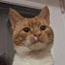 Буханцев Максим