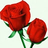 Chisom Innocent