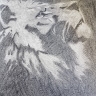 Maria Paola Rosapepe