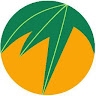 Paul Ye