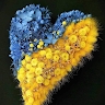 Карина Лагутина