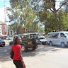 Nechesa mabwa