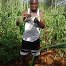 Faustino Kamwangi