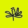 Associazione Liquidambar  