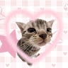 Harper  