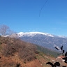 Βικτωρία Μπεκιροπούλου