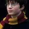 Harry Porter