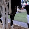 ΣΩΤΗΡΗΣ ΜΠΑΛΑΦΑΣ