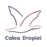 calea dropiei