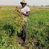 solomon swaka